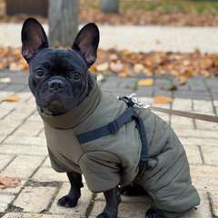 Фото отзыва 10937079