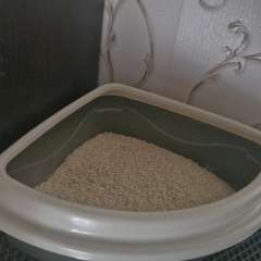 Фото отзыва 11056619