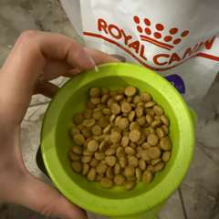 Фото отзыва 10700285