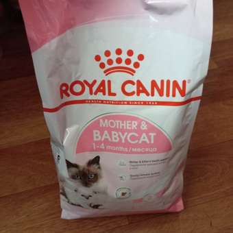 Корм сухой для котят ROYAL CANIN Mother and Babycat 2кг: отзыв пользователя. Зоомагазин Зоозавр