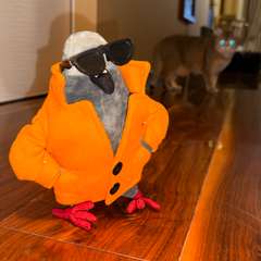 Фото отзыва 11041667