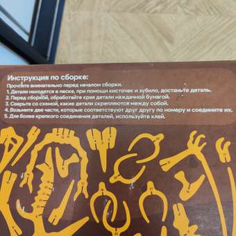 Набор для раскопок bonbela Птеродонт в ассортименте: отзыв пользователя Детский Мир