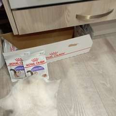 Фото отзыва 10792590