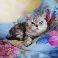 Фото отзыва 10599583