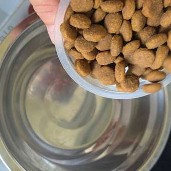 Корм для щенков ROYAL CANIN Maxi Puppy 3кг: отзыв пользователя. Зоомагазин Зоозавр