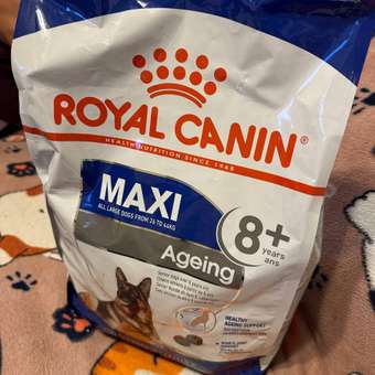 Корм для собак ROYAL CANIN Maxi Ageing 8+ крупных пород 3кг: отзыв пользователя. Зоомагазин Зоозавр