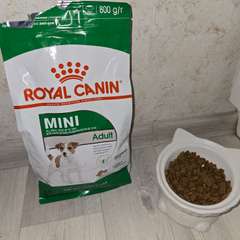 Фото отзыва 10467143