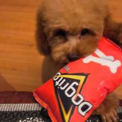 Фото отзыва 10673618