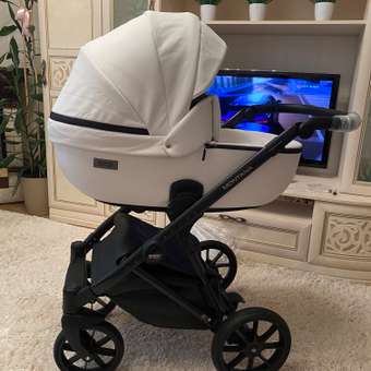 Коляска 2в1 Riko Basic Montana Ecco: отзыв пользователя Детский Мир
