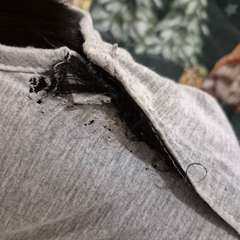 Фото отзыва 10711962