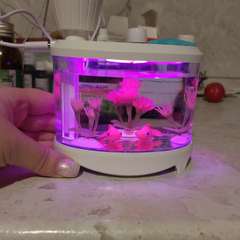 Фото отзыва 10609955