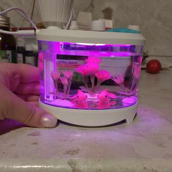 Увлажнитель Attivio Аквариум: отзыв пользователя Детский Мир