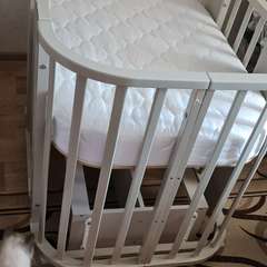 Фото отзыва 11149714