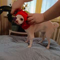 Фото отзыва 10932971