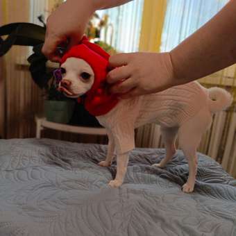 Джемпер для собак и кошек Зоозавр: отзыв пользователя. Зоомагазин Зоозавр