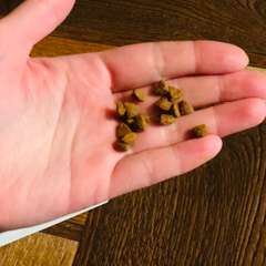 Фото отзыва 10774994