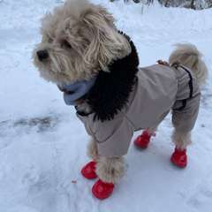 Фото отзыва 10923755