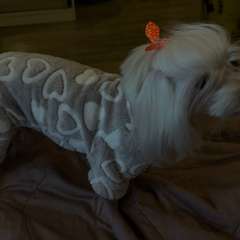 Фото отзыва 10986192