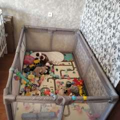 Фото отзыва 11290755