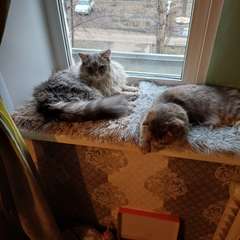 Фото отзыва 11266015