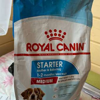 Корм для щенков беременных и кормящих Royal Canin 4кг Medium Starter средних сухой: отзыв пользователя. Зоомагазин Зоозавр