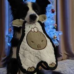 Фото отзыва 10905697