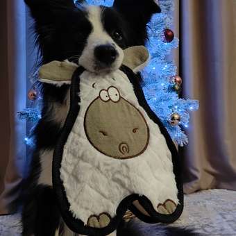 Игрушка для собак Barbaks Барашек Матвей особо прочный с пищалкой 25*22см: отзыв пользователя. Зоомагазин Зоозавр