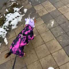 Видео отзыва 10888274