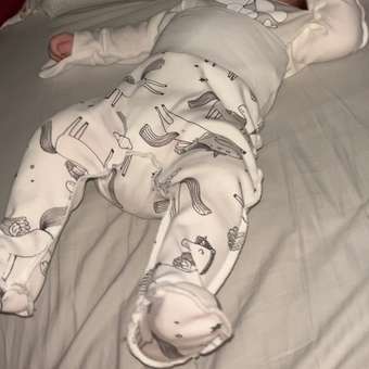 Ползунки Baby boom: отзыв пользователя Детский Мир