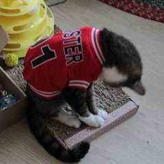 Фото отзыва 11085096