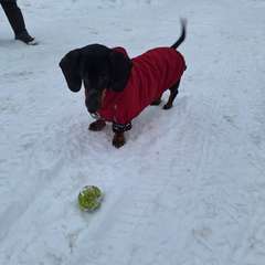 Фото отзыва 10855503