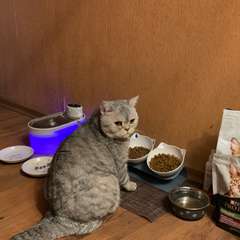 Фото отзыва 10932707