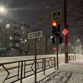 Конструктор LEGO Botanicals Цветение сливы: отзыв пользователя Детский Мир