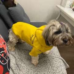 Фото отзыва 10638836