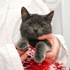 Фото отзыва 10824397