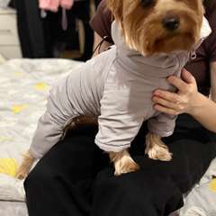 Фото отзыва 10627749