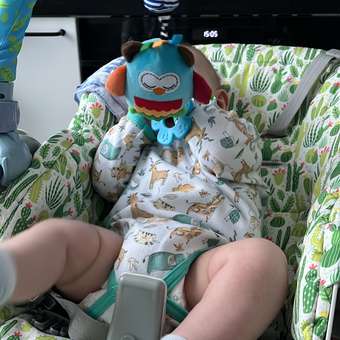 Игрушка BabyGo подвеска Сова: отзыв пользователя ДетМир