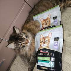 Фото отзыва 10638146