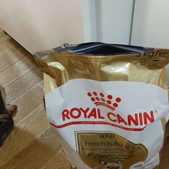 Корм для собак ROYAL CANIN породы французский бульдог 3кг: отзыв пользователя. Зоомагазин Зоозавр
