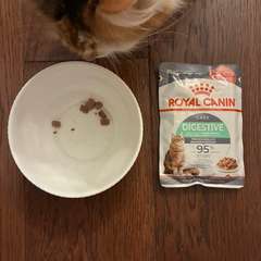 Фото отзыва 10716167