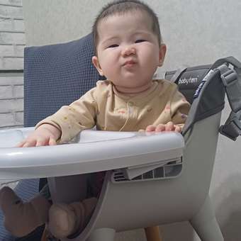 Стульчик для кормления Babyton Woody Grey трансформер: отзыв пользователя Детский Мир
