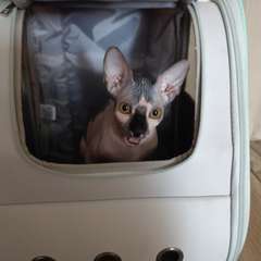 Фото отзыва 10540741