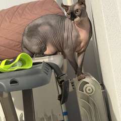 Фото отзыва 10780403