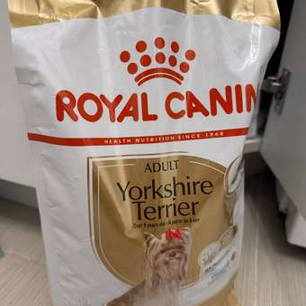 Корм для собак ROYAL CANIN породы йоркширский терьер 8+ пожилые 1.5кг: отзыв пользователя. Зоомагазин Зоозавр