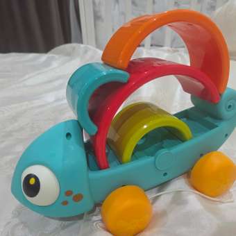 Игрушка BabyGo сортер Хамелеон: отзыв пользователя Детский Мир