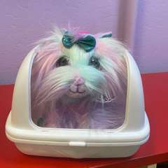 Фото отзыва 5812767