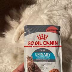 Фото отзыва 10804123