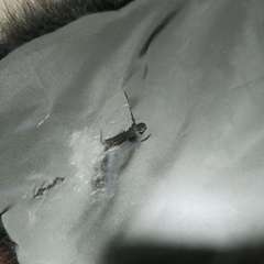 Фото отзыва 10641710