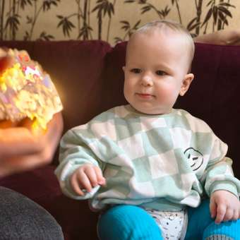 Свитшот Baby Gо: отзыв пользователя Детский Мир