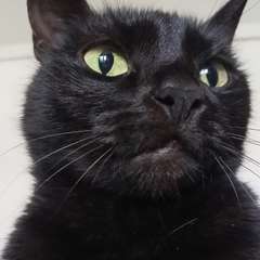 Фото отзыва 10519427